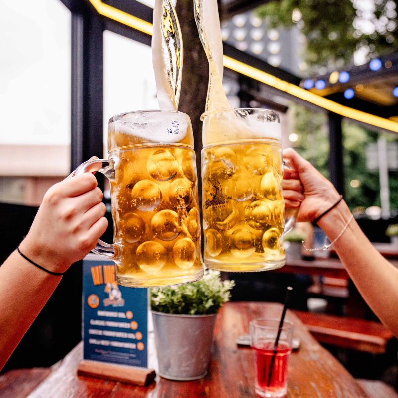 Beer steins