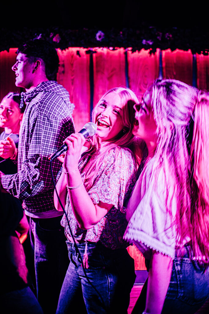 Karaoke for Christmas parties